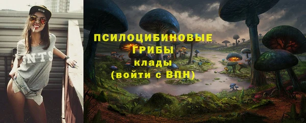 экстази Баксан
