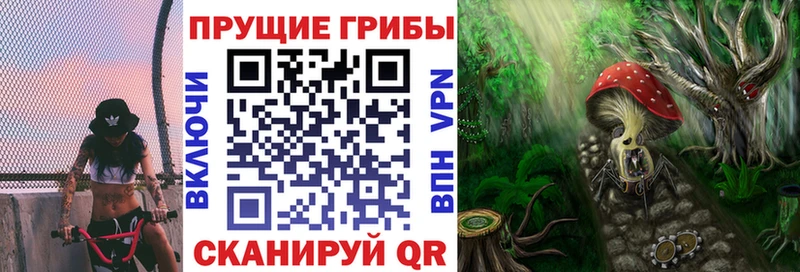 Галлюциногенные грибы Psilocybe  нарко площадка официальный сайт  Олёкминск  MEGA рабочий сайт 